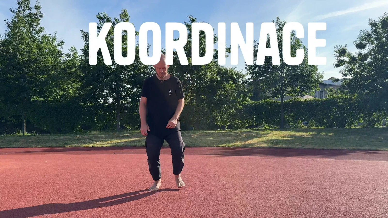 Úvod