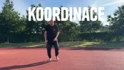 Úvod
