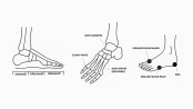 Základní anatomické a referenční body