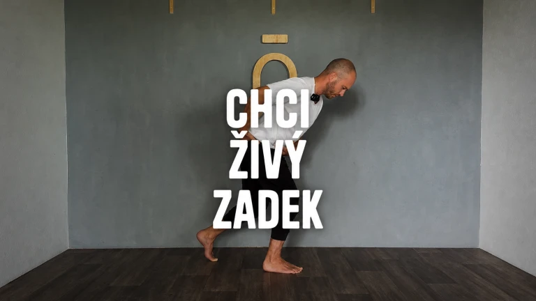 Chci živý zadek