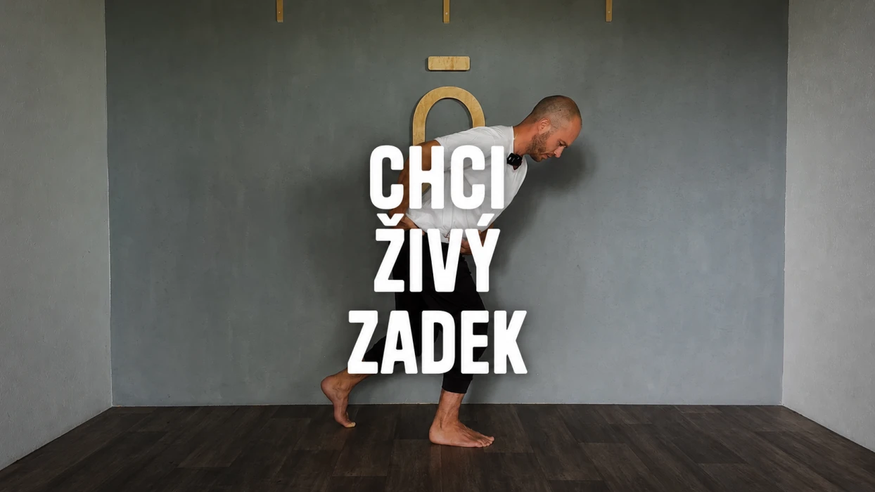 Chci živý zadek