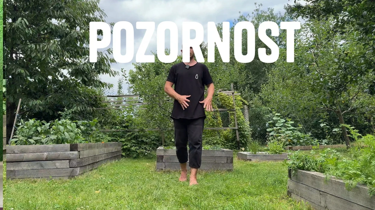 Úvod