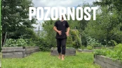 Úvod